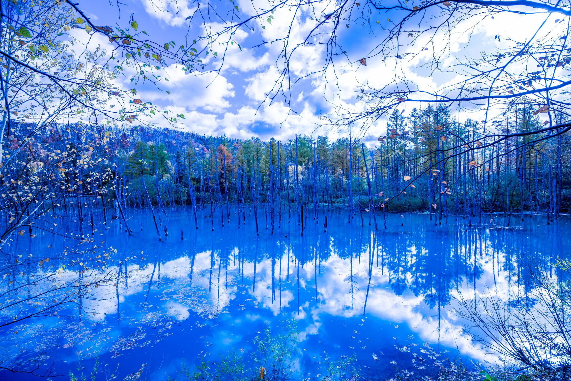 青い池 — Blue Pond