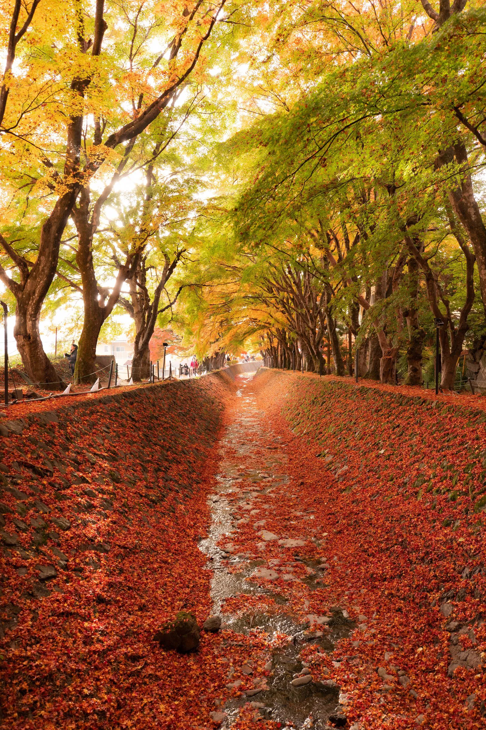紅の小径 — Crimson Path