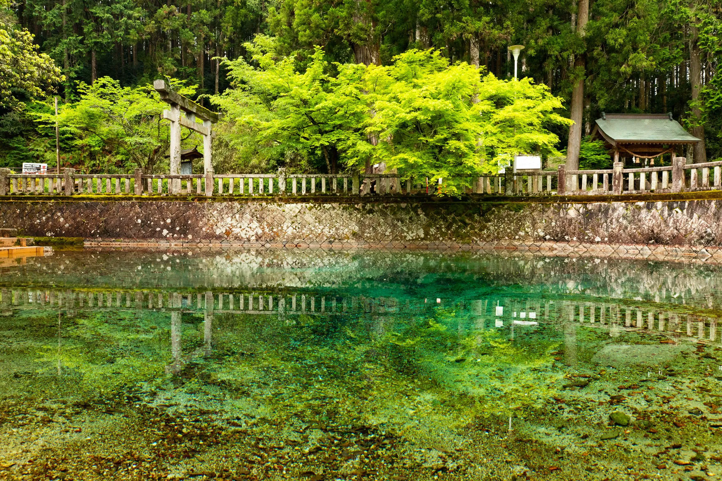 翡翠の泉 — Emerald Spring