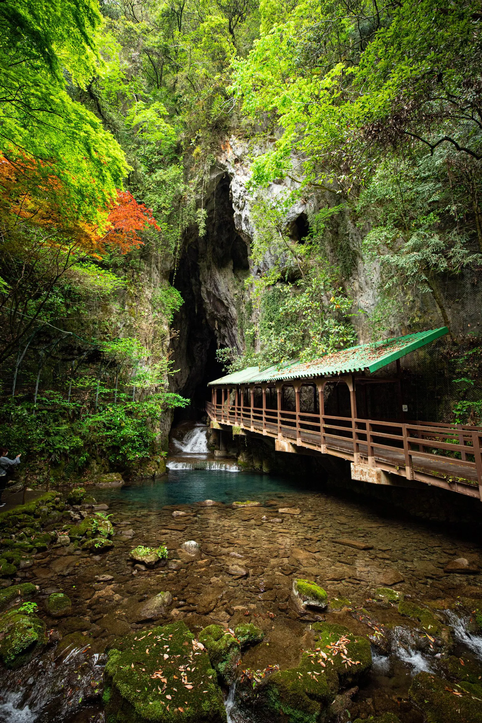 峡谷の道 — Gorge Walk