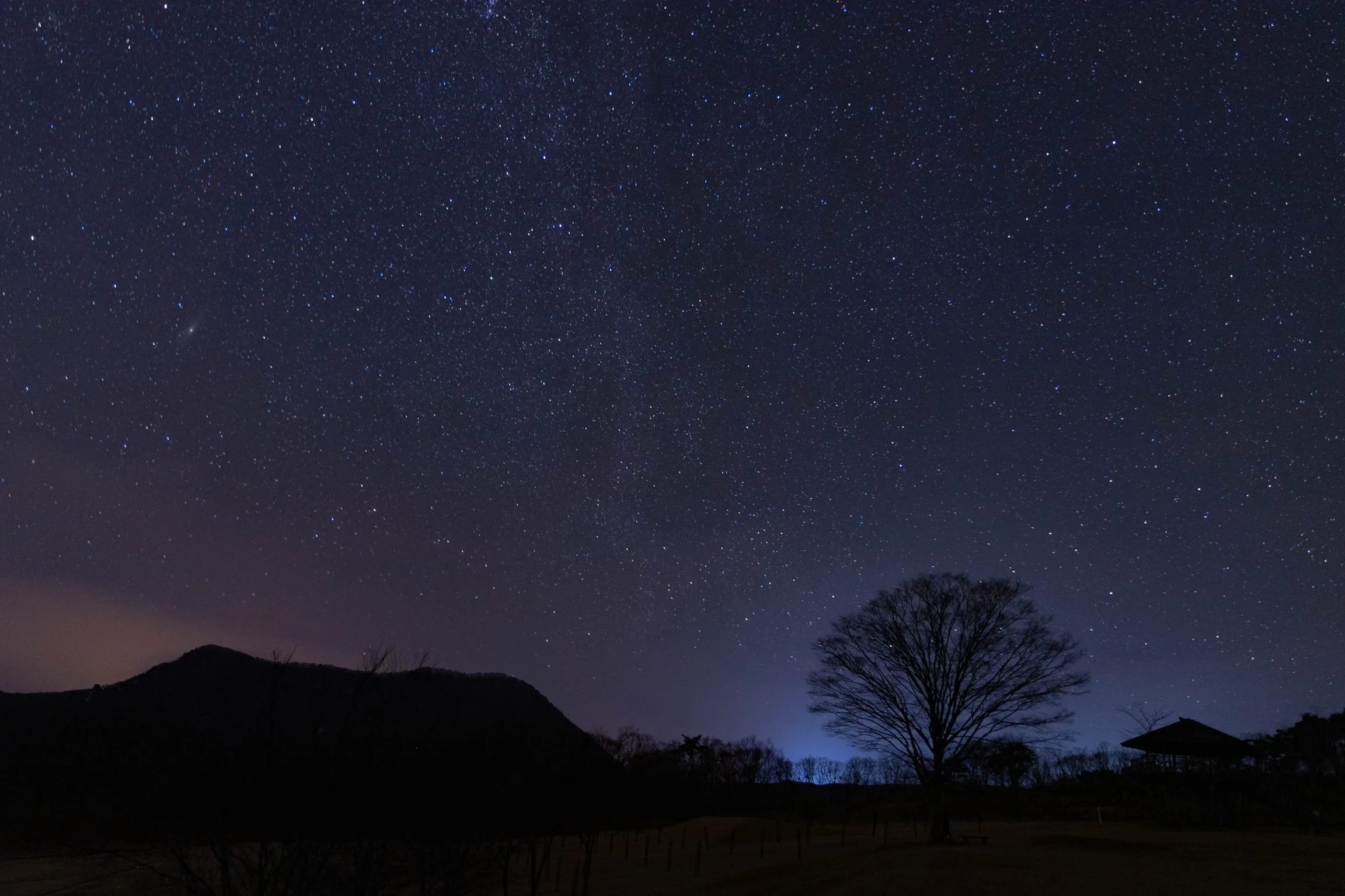 夜の丘 — Night Hill