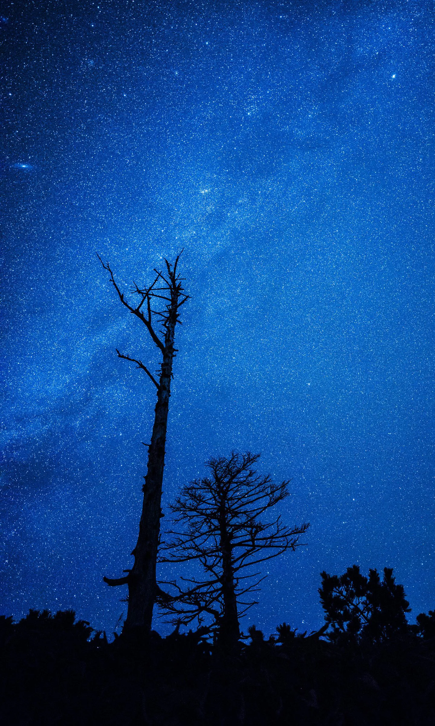 天の川の下で — Under the Milky Way